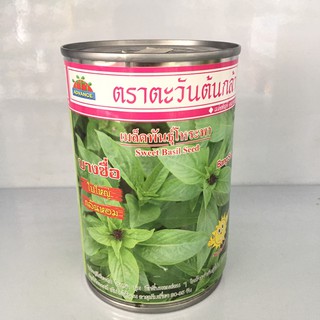 โหระพา บางซื่อ 20g ตะวันต้นกล้า