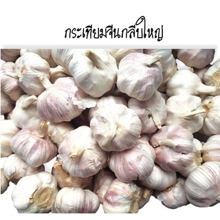 กระเทียมจีนกลีบใหญ่ คัดเกรด ใช้สำหรับประกอบอาหาร