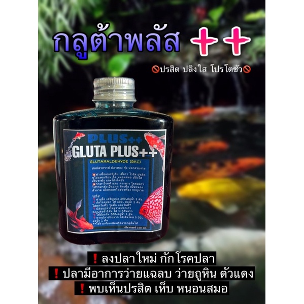 ยาปลา กำจัดปรสิต Glutaraldehyde (BKC) ยาฆ่าเชื้อในบ่อและตู้ปลา กักโรคปลาคาร์ฟและสัตว์น้ำ บรรจุ 250 ml.