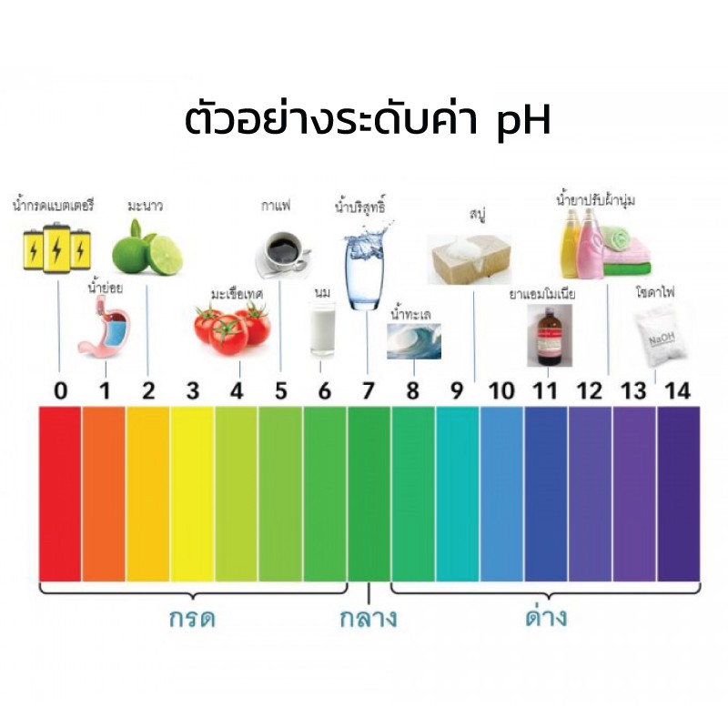 เครื่องวัดค่า Ph กรดด่างของน้ำ รุ่นPh-009 ( Digital Ph Meter ) หรือ  เครื่องวัดค่า Ph | Shopee Thailand