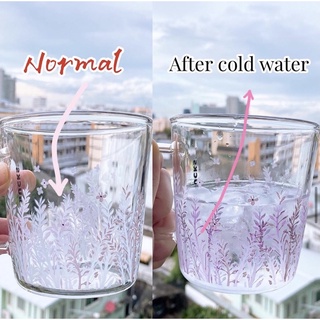 Starbucks China - Color Changing Glass Mug แก้วเปลี่ยนสี