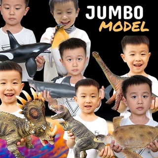 Jumbo animal Model โมเดลไซส์จัมโบ้ #โมเดลสัตว์ #โมเดล