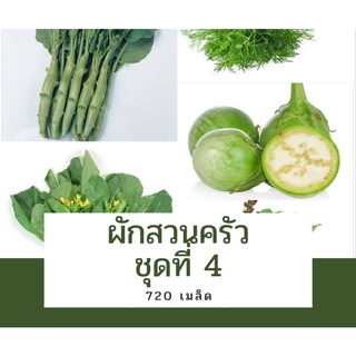 เมล็ดผักสวนครัว เมล็ดผักชุดที่4 คะน้าเห็ดหอม โหระพา ผักชีลาว มะเขือเปราะ พริกแดงจินดา รวม720เมล็ด