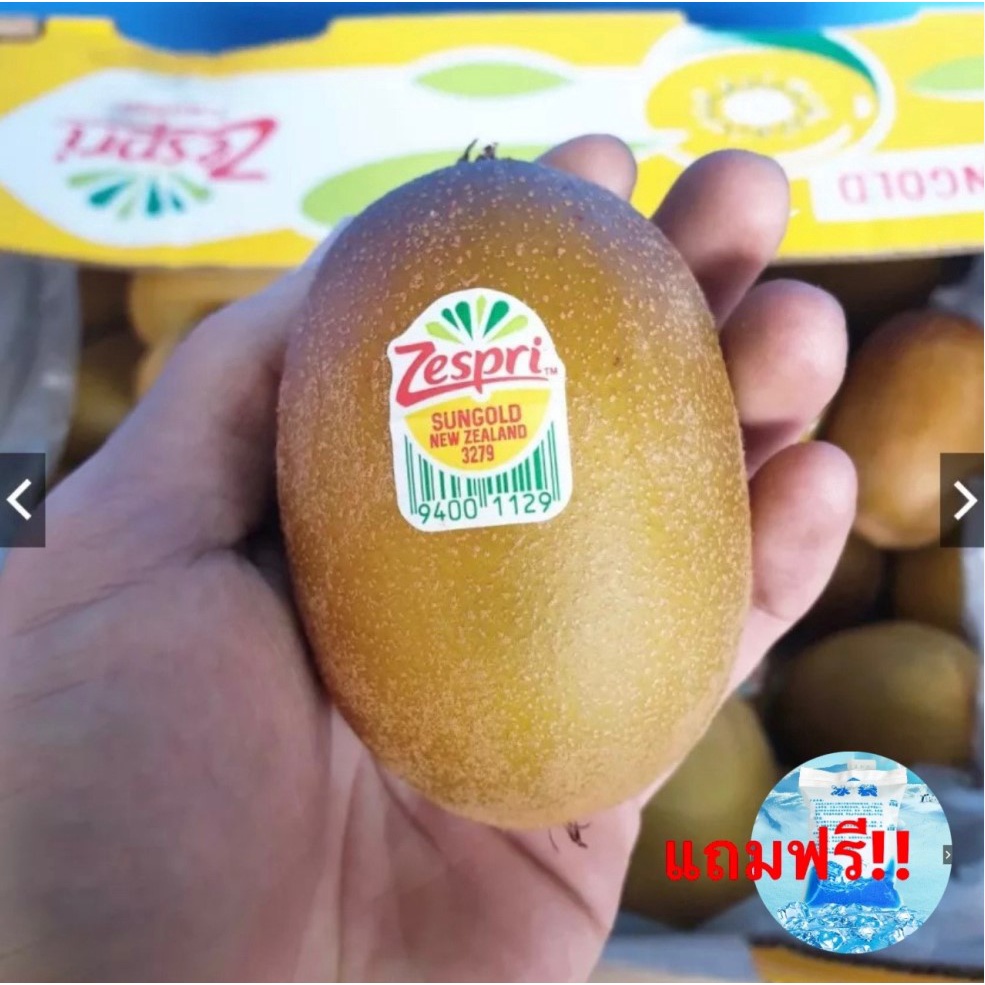 grapehq1 กีวี่ทอง KIWI Zespri SunGold (1ลูก) (NewZealand) ~ลดพิเศษ~ Premium ผลไม้พรีเมี่ยม กีวีสด กี