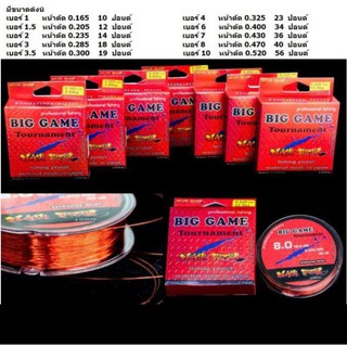 สายเอ็น BIG GAME Tournament (100 เมตร)