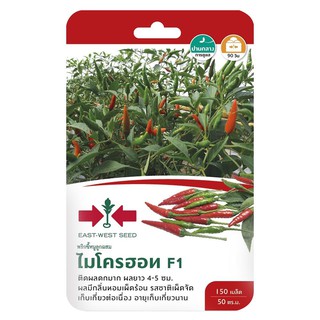 เมล็ดพันธุ์พริกขี้หนู F1 ไมโครฮอท CHILI SEED EAST-WEST SEED MICRO HOT F1