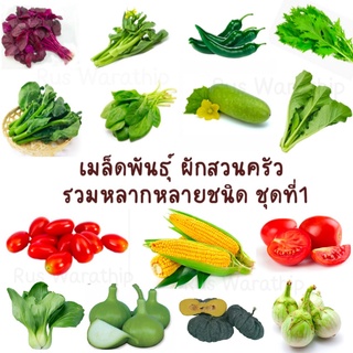 เมล็ดพันธุ์ผัก เมล็ดผักสวนครัว กินใบ งอกง่าย โตไว สามารถปลูกได้ทุกที่ เมล็ดผัก เมล็ดผักสวนครัว