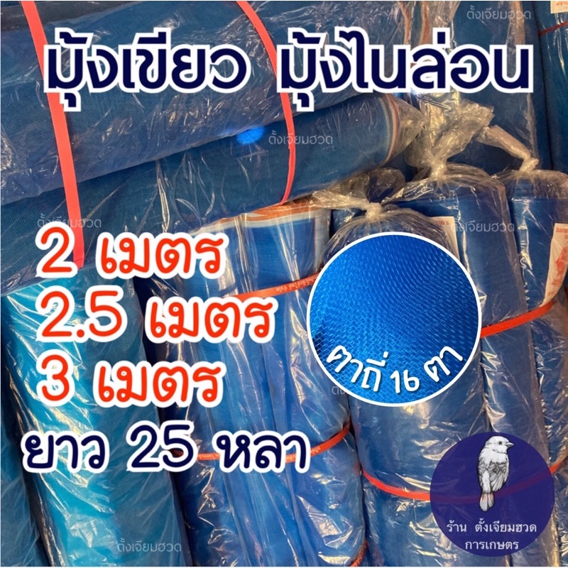 My Image 5
