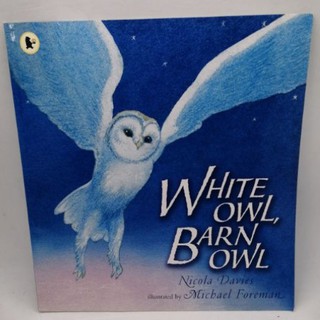 White Owl, Barn Owl (Read and Wonder) by Nicola Davies and Michael Foreman -113