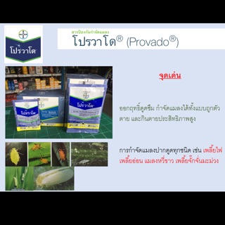สารกำจัดแมลง โปรวาโด กำจัด เพลี้ยไฟ เพลี้ยอ่อน ขนาด 2และ10 กรัม