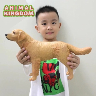 Animal Kingdom - โมเดลสัตว์ สุนัข หมาโกลเด้น แบบนิ่ม ขนาด 35.00 CM (จากหาดใหญ่)