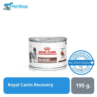 Royal Canin Recovery สัตว์ป่วย พักฟื้น กระป๋องชนิดเปียก 195g