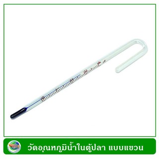 Hang-On Thermometer ตัววัดอุณหภูมิ แบบแขวน