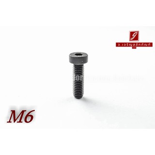 สกรูหัวจมหัวเตี้ยพิเศษ M6x20