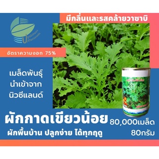 ผักกาดเขียวน้อย (Leaf Mustard)