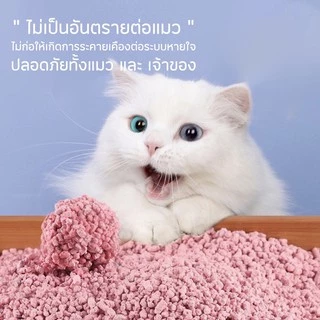 ทรายแมวเต้าหู้ 6 ลิตร/2kg ออร์แกนิค100% ผลิตจากกากถั่วเหลืองธรรมชาติ