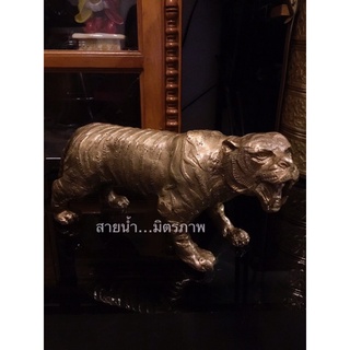 เสือนำโชคเนื้อทองเหลือง