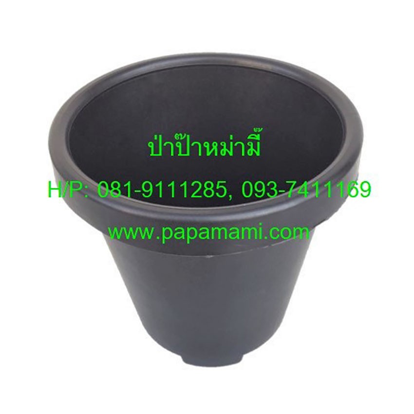 (20-100ใบ) papamami กระถางดำ หนา 6 นิ้ว ทรงสูง ปากพับ กระถางพลาสติก กระถางแคคตัส กระถางปลูกตอ กระถางกระบองเพชร กระถางดำ
