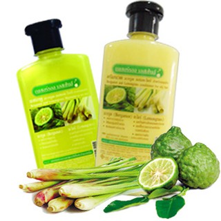 มีทุกสูตร Natural Essences แชมพู /ครีมนวดผม 350 มล. บำรุงผม จากธรรมชาติ เนเชอรัล เอสเซ้นส์