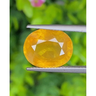 พลอย บุษราคัม เผาใหม่ yellow sapphire 11.82 กะรัต (Cts.) พลอยแท้ อัญมณีมงคลประจําวันเกิด