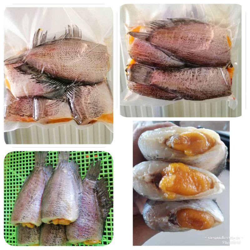 Best Seller, High Quality ปลาสลิดไข่ ฟรี!!ถุงเก็บความเย็น7-9 ตัว สด ใหม่ สะอาด อาหารทะแลแห้ง ปลาแดดเดียวชนิดต่างๆ ปลาฉิงฉ้างตากแห้ง ปลาหมึกแห้ง ปลาสลิด สินค้าขายดีและมีคุณภาพสำหรับคุณ