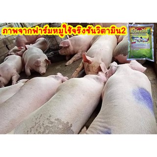 พรีมิกซ์หมู บำรุงหมูทุกระยะ หมูขุน หมูแม่พันธุ์พ่อพันธุ์ ลูกหมู อาหารเสริมหมู ชุดนี้ 2กิโล