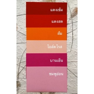 🔸แพ็ค 25 แผ่น(25สี)🔸 กระดาษสี 100 ปอนด์ กระดาษร้อยปอนด์สีอเนกประสงค์ ขนาด A4 หนา 210 แกรม