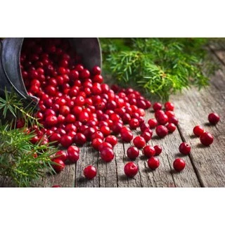 แครนเบอร์รี่อบแห้ง นำเข้า 1kg (Dried Cranberry) (พร้อมทาน)