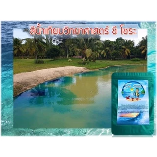 สีน้ำเทียม 250 กรัม Sea Sora (ผงเปลี่ยนสีน้ำเร่งด่วน)(สีฟ้าน้ำทะเล)(ผงทำสีน้ำทะเล) 250 กรัม