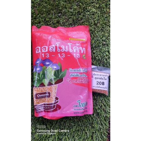 ออสโมโค้ท 13-13-13 แบ่งขาย