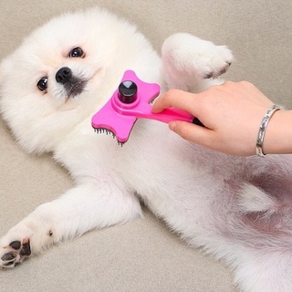 แปรงหวีขนสัตว์เลี้ยง Pet Grooming Brush