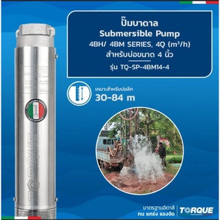 Torque ปั้มน้ำบาดาล 1แรงม้า ขนาดท่อ1 1/2 นิ้ว. สำหรับลงบ่อ 4นิ้ว