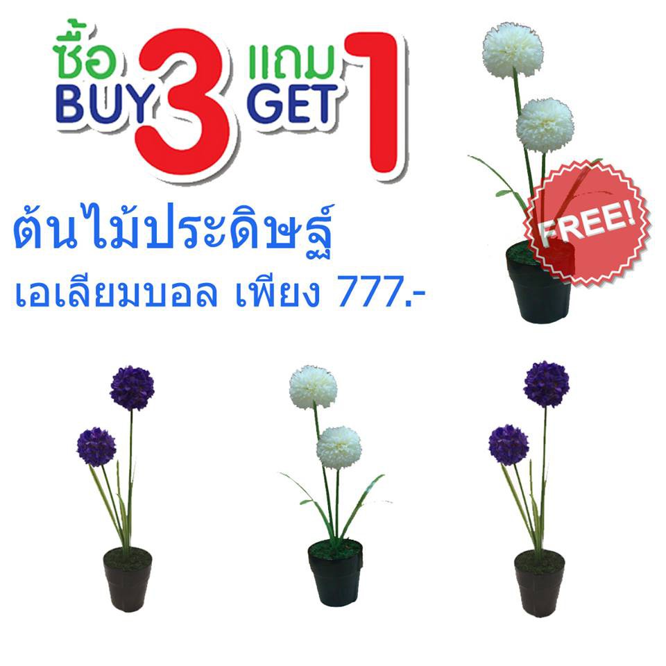 ต้นไม้ประดิษฐ์เอเลี่ยมบอลสีขาวหรือสีม่วง  ซื้อ 3 แถม 1  ราคา 777 บาท
