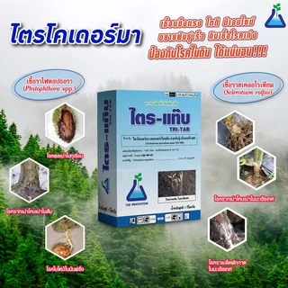 ไตร-แท๊บ (ไตรโครเดอร์มา) จาก ทีเอบี ไตรโคเดอร์มา กำจัดโรครากเน่า โคนเน่า จากเชื้อราไฟทอปธอร่า ในทุเรียน ไตรแท๊บ