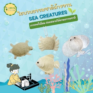 ใยบวบล้างจาน ใยบวบขัดตัว Sea creatures  เกรดพรีเมี่ยม ไม่ผสมสารสังเคราะห์ ขัดกระทะเทฟล่อนได้ ไม่ทำลายพื้นผิวภาชนะ