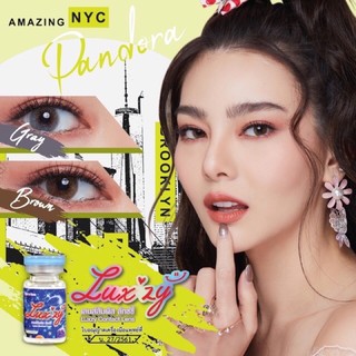 🦄🌈Luxzy Pandora Brown and Gray คอนแทคเลนส์ นุ่มสบาย พริ้ว บาง มีเก็บเงินปลายทาง