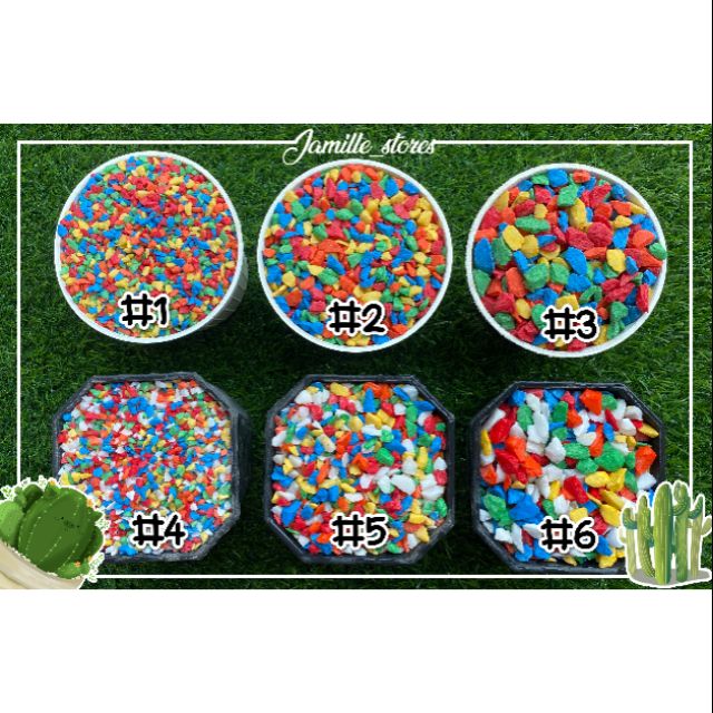 หินเกล็ดสี น่ารักๆ หินประดับ หินโรยหน้าแคดตัส หินตกแต่งสวน