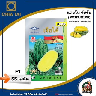 CHIA TAI 🇹🇭 ผักซอง เจียไต๋ แตงโม รันรัน #036 F1  เมล็ดพันธุ์ เมล็ดพันธุ์ผัก  ผักสวนครัว ผักเจียไต๋ ตราเครื่องบิน