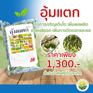 อุ้มแตก ขนาด 1,500 กรัม (เร่งการเจริญเติบโตของพืช เพิ่มการติดดอกและผล)