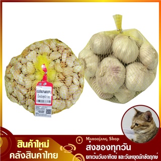 กระเทียมจีน 1000 กรัม กระเทียมตัดจุก กระเทียม กระเทียมแกะกลีบ กระเทียบกลีบ Chinese garlic