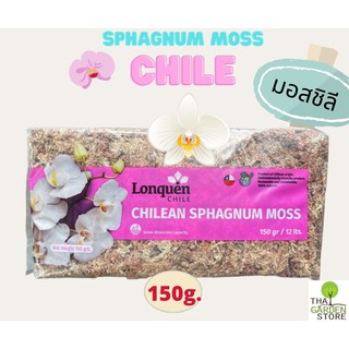 สแฟกนั่มมอส ชิลี 150 กรัม (Chilean Sphagnum Moss)