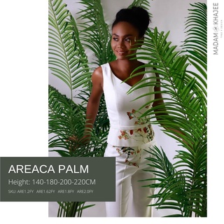 Areca Palm ต้นปาล์มหมาก 140 CM ต้นไม้ปลอมเกรดพรีเมี่ยม มาดามขจี ตกแต่งบ้าน  Premium Artificial Plant