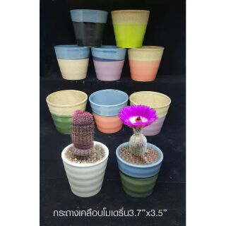 กระถางเคลือบโมเดิร์น 3.7"×3.5" (6 ใบ 189)