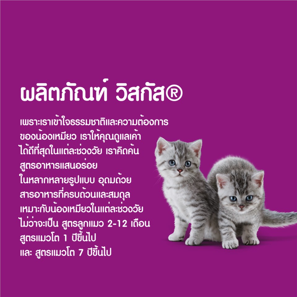 WHISKAS DRY CAT FOOD DRY POCKETS ADULT GOURMET SEAFOOD FLAVOUR 3 kg วิสกัส อาหารแมวชนิดแห้ง แบบ