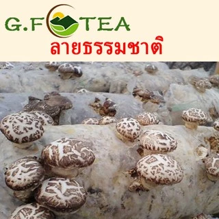 เห็ดหอม ลายญี่ปุ่นลายธรรมชาติ 100กรัม-500กรัม 日本花菇 เห็ดหอมแห้งเกรดAAAAA ไซส์เล็กNo.3 ใหญ่No.4,NO.5 จัมโบ้No.6 อาหารแห