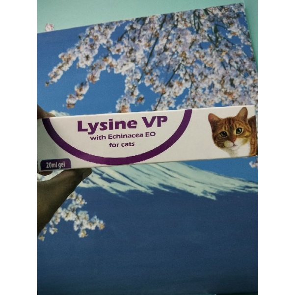 lysine vp ไลซีน วีพีเจล อาหารเพื่อสร้างภูมิในแมว ไลซีนแมว ขนาด 20 มิลลิลิตร หมดอายุ เดือน 11 ปี 2023