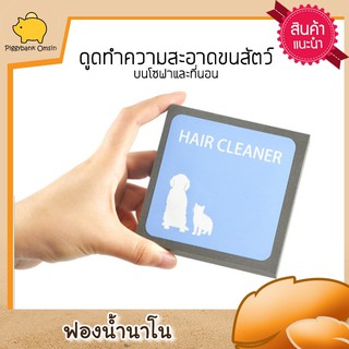 Cataccessories ฟองน้ำเก็บขนแมว ฟองน้ำนาโน ทำความสะอาดโซฟาที่มีขนสัตว์ติด เก็บขนสัตว์เลี้ยงได้ดี ล้างน้ำได้