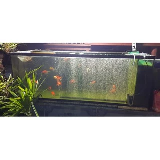 ออกซิเจนบาร์ตู้ปลา 30-100 เซน สวยงามติดตั้งง่าย [จัดส่งทุกวัน] OXYGEN BAR FOR FISH TANK 30-100 CM
