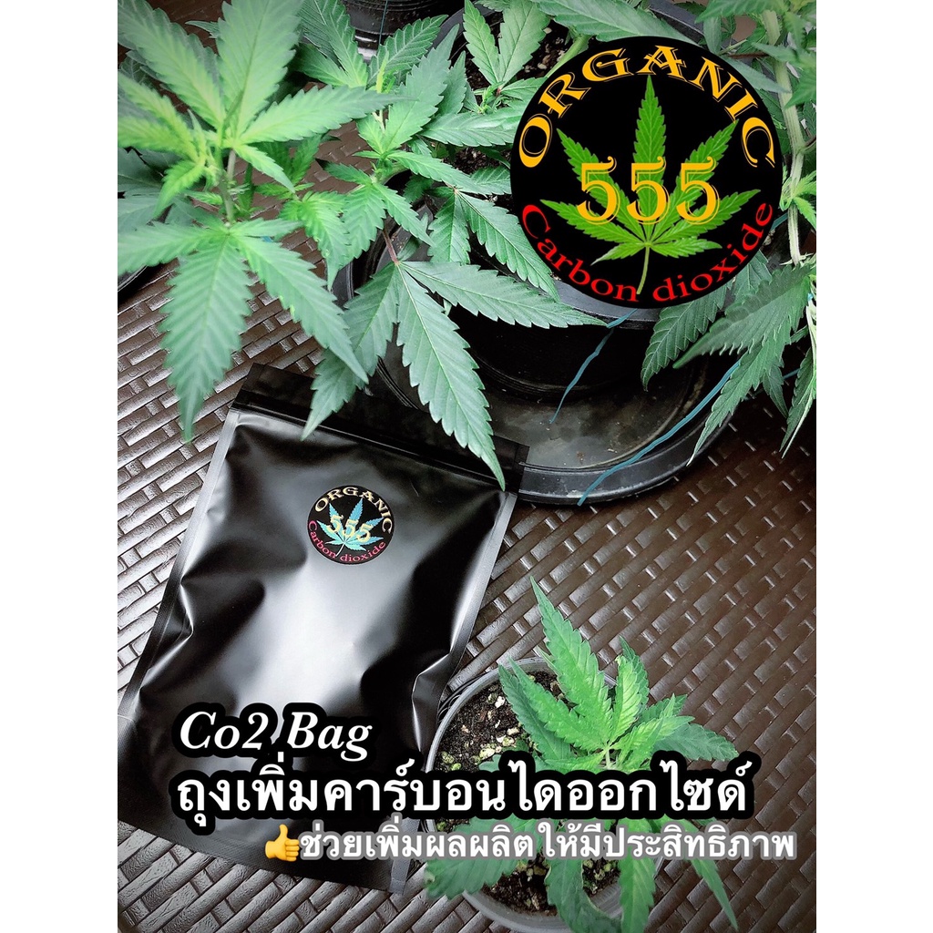 Co2 Bag ORGANIC555 ถุงเพิ่มคาร์บอนไดออกไซด์พืช ใช้งานง่าย ถุงคาร์บอน ถุงco2