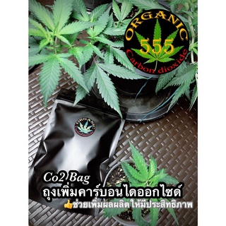 Co2 Bag ORGANIC555 ถุงเพิ่มคาร์บอนไดออกไซด์พืช ใช้งานง่าย ถุงคาร์บอน ถุงco2